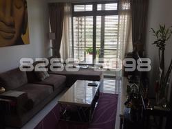 Ceylon Residence (D15), Apartment #93841602